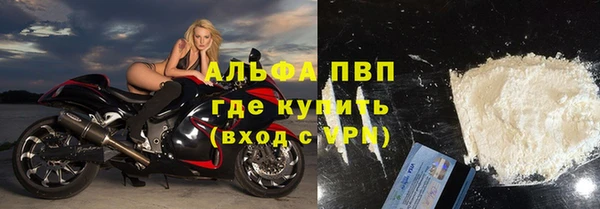 молекула духа Инсар